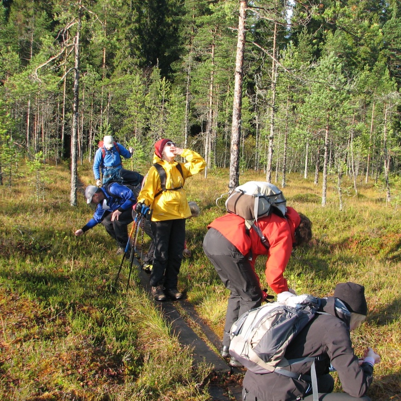 Patikointi Patikointi